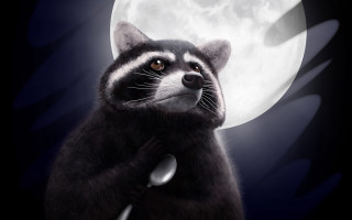 Raccoon fullmoon night illustration furry - craola free wallpaper