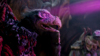 Purple creature purple lights fantasy - a purple light free wallpaper