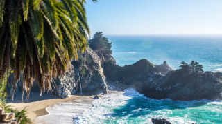 Beach palm cliff ocean nature - andor basch free wallpaper