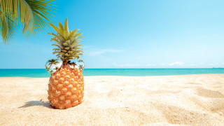 Pineapple beach palm sky ocean - a palm tree in the background free wallpaper
