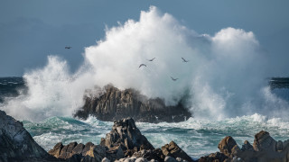 Stormy wave crash sea birds - bird free wallpaper