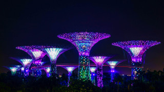 Night park bridge city lights - cyberpunk art free wallpaper