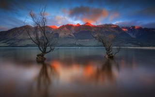 Trees water mountain sunset fire - a couple of trees free wallpaper
