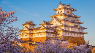 Tower purple flowers autumn japan - a tall building free wallpaper