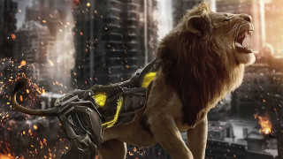 Lion backpack city fire smoke 2 - its back in free wallpaper