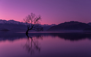 Lone tree lake sunset mountains 4 - the middle of a lake free wallpaper
