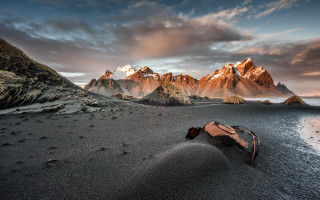 Dead animal beach mountains sunset - derold page free wallpaper