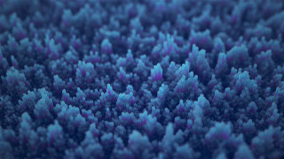 Blurry blue fractals nature tree - fractal free wallpaper