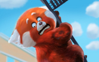 Red panda tennis racket clouds - its mouth free wallpaper