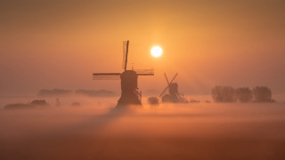 Windmill fog sun trees mist - the sun in the background free wallpaper