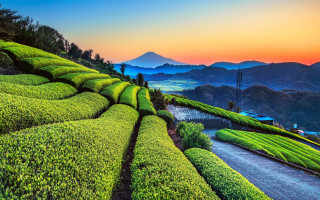 Scenic green hillside road mountains - a scenic view free wallpaper