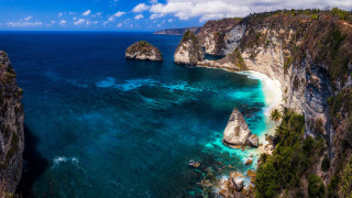 Blue ocean beach cliffs trees - sandy free wallpaper