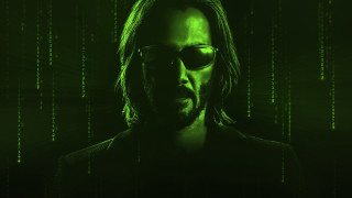Man glasses beard green numbers - glass and a beard free wallpaper