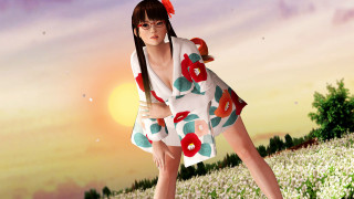 Woman dress hat flower field - photorealism free wallpaper