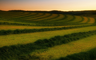 Sunset field grass trees mountains - sunset time free wallpaper