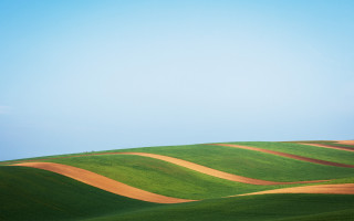 Green field blue sky lone 4 - a green field free wallpaper