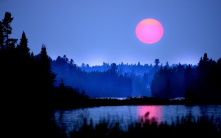 Sunset lake trees moon sky - a sunset over a lake free wallpaper