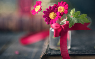 Vase flowers ribbon table book - a table top free wallpaper