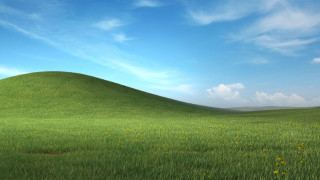 Grassy hill yellow flowers blue 2 - a grassy hill free wallpaper