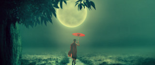 Moonlit bamboo forest umbrella night - solarpunk free wallpaper