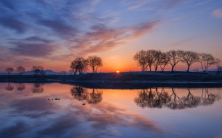 Sunset clouds trees water ducks - a sunset free wallpaper