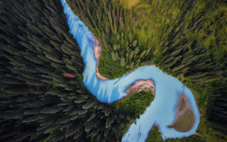 Lush green forest river nature - a lush green forest next free wallpaper