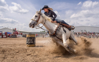 Woman horse oil field crowd - a woman riding free wallpaper