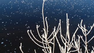 Snowflakes branches water black background - andy goldsworthy free wallpaper