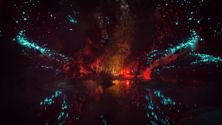 Pond lights reflection bioluminescence fireworks - bruce munro free wallpaper