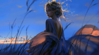 Woman blue dress tall grass - overhead in the background free wallpaper