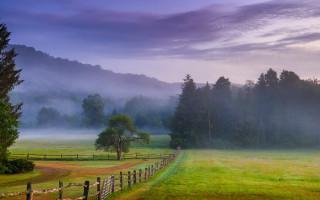 Foggy forest horizon landscape field - beautiful landscape free wallpaper