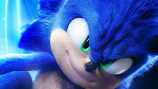 Blue cat green eyes nose - dom qwek free wallpaper
