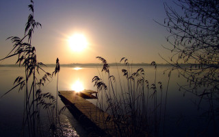 Dusk dawn boat reeds silhouette - a photo free wallpaper