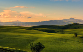 Green field lone tree mountains 3 - correggio free wallpaper