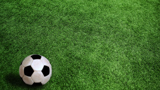 Soccer ball green field plant - carles delclaux i free wallpaper