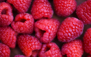 Raspberries water droplets macro berry - a table top free wallpaper