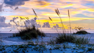 Beach grass sunset clouds dusk - a beach free wallpaper for desktop