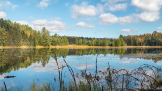 Lake trees grass clouds ducks - bruce munro free wallpaper
