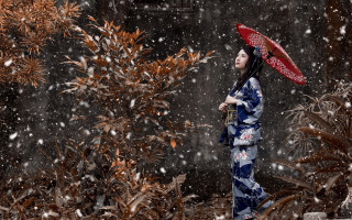 Kimono umbrella snowfall trees night - an umbrella in the snow free wallpaper