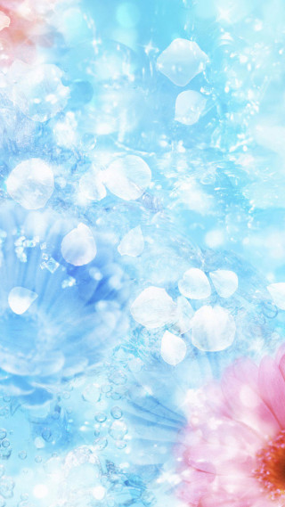 Flower closeup water droplets sky - bubble free wallpaper