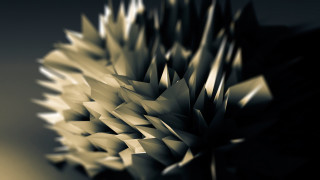 Flower black yellow bw ambient - carol bove free wallpaper