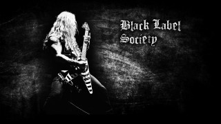Woman long hair playing guitar - long hair playing free wallpaper