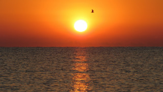 Bird ocean sunset sky mountain - sunrise free wallpaper