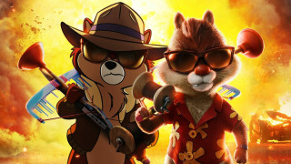 Raccoon man hat sunglasses furry - furry art free wallpaper
