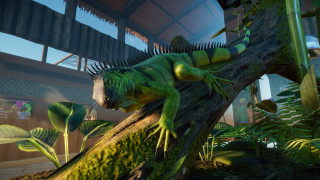 Tropical lizard branch house palm - a tropical setting free wallpaper