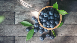 Wooden bowl blueberries wood table - evaline ness free wallpaper
