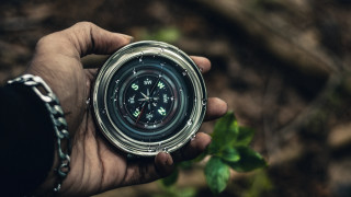 Compass leaf tree automatistes offset - a person holding free wallpaper