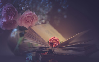Book flowers vase roses illustration - a page free wallpaper