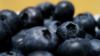 Blueberries yellow background bokeh macro - blueberry free wallpaper