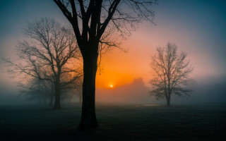 Foggy field trees sunset mountain 2 - a foggy sky in the background free wallpaper